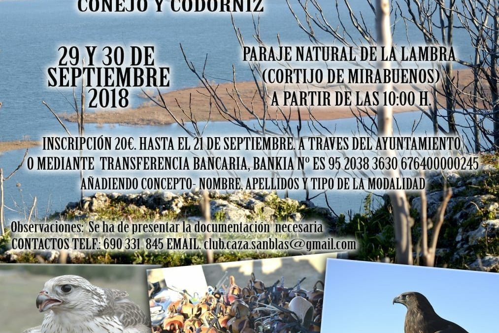 III Campeonato Provincial de Bajo Vuelo Villa de Rus 2018